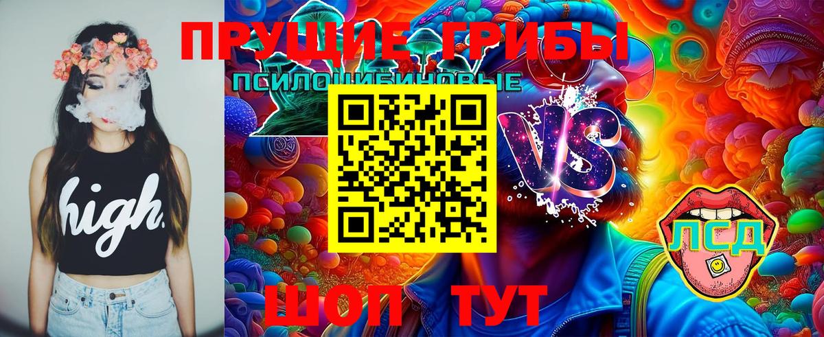 Галлюциногенные грибы Psilocybine cubensis Спасск-Дальний