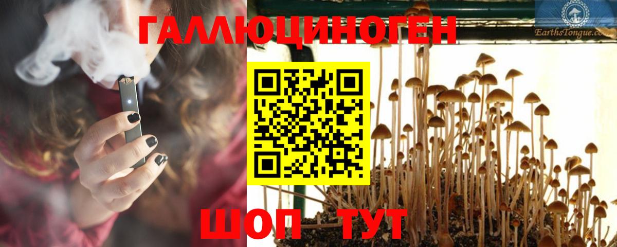 Спасск-Дальний  хочу   Вход с VPN  Галлюциногенные грибы мухоморы 